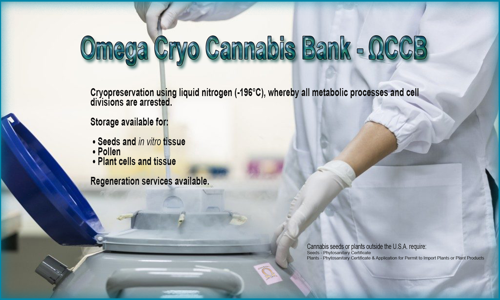 Cryogenic Image