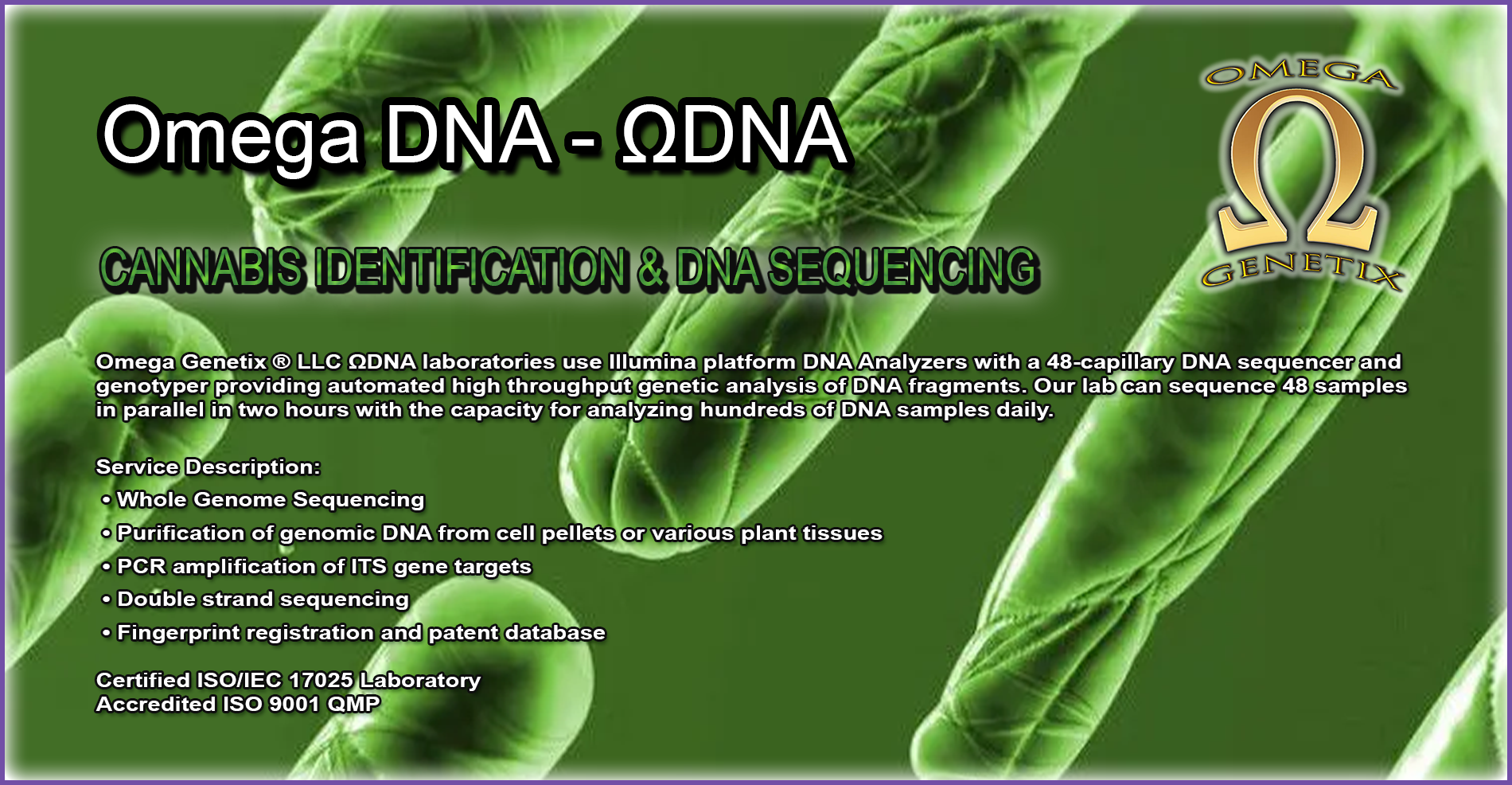 DNA Image