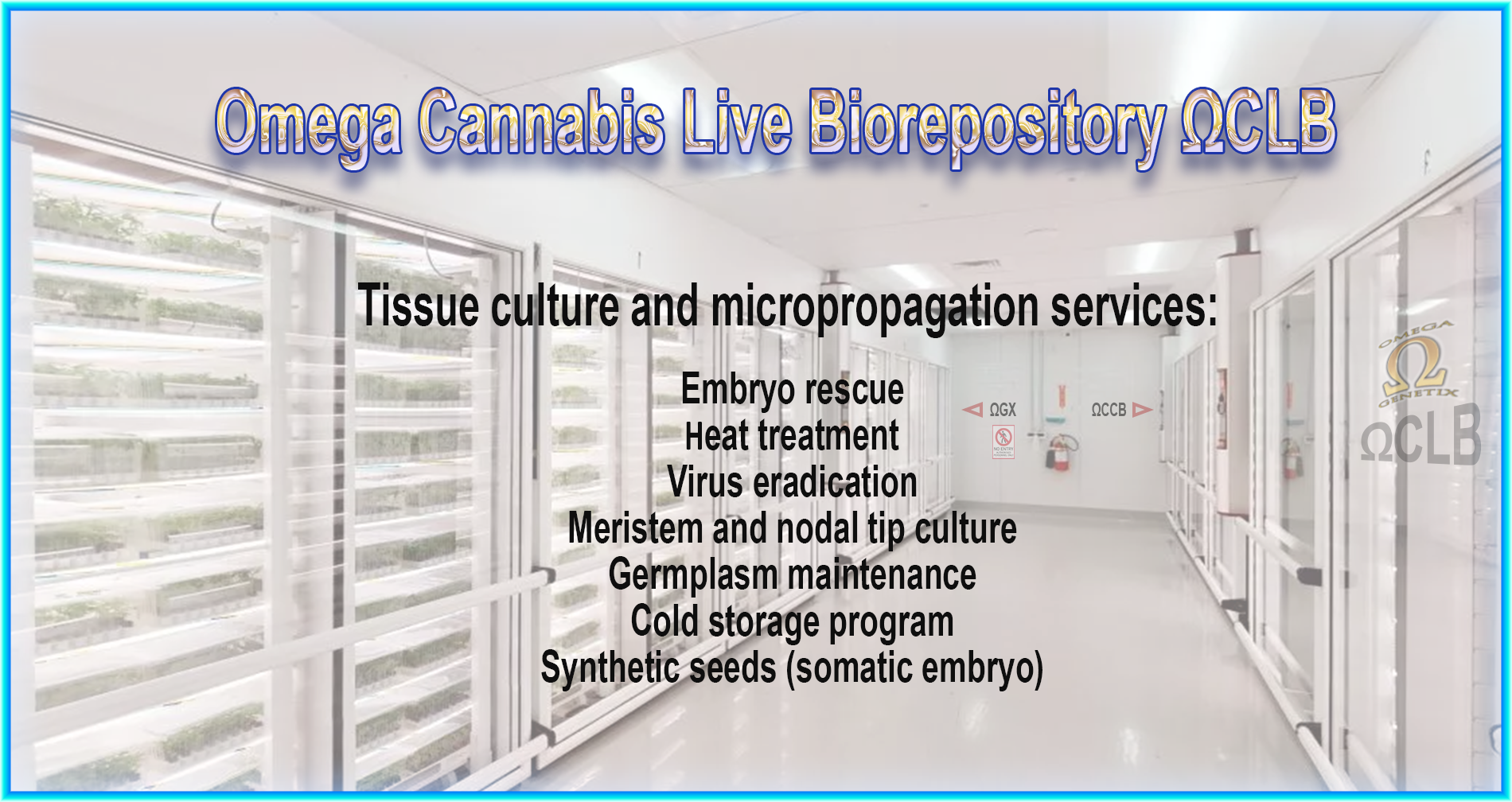 Tissue Culture Image